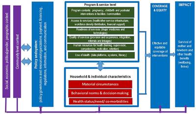 Advancing maternal and perinatal health in low- and middle-income countries: A multi-country review of policies and programmes